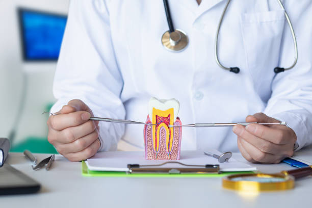 Best Emergency Dentist for Knocked-Out Tooth in Pocatello, ID